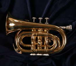 pocket trumpet - ian