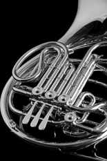 french horn bw
